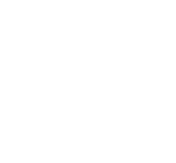 BetSnap Logo